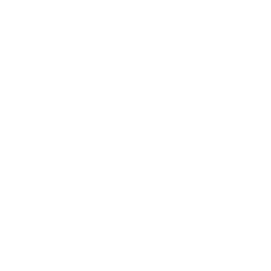 Términos y Condiciones | CallBotIA - IA Conversacional